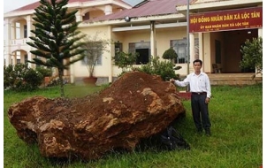 Lâm Đồng sẽ bán đấu giá tảng đá quý nặng 20 tấn